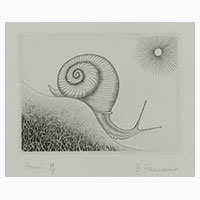 Snail by Brian Hanscomb