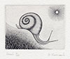 Snail by Brian Hanscomb